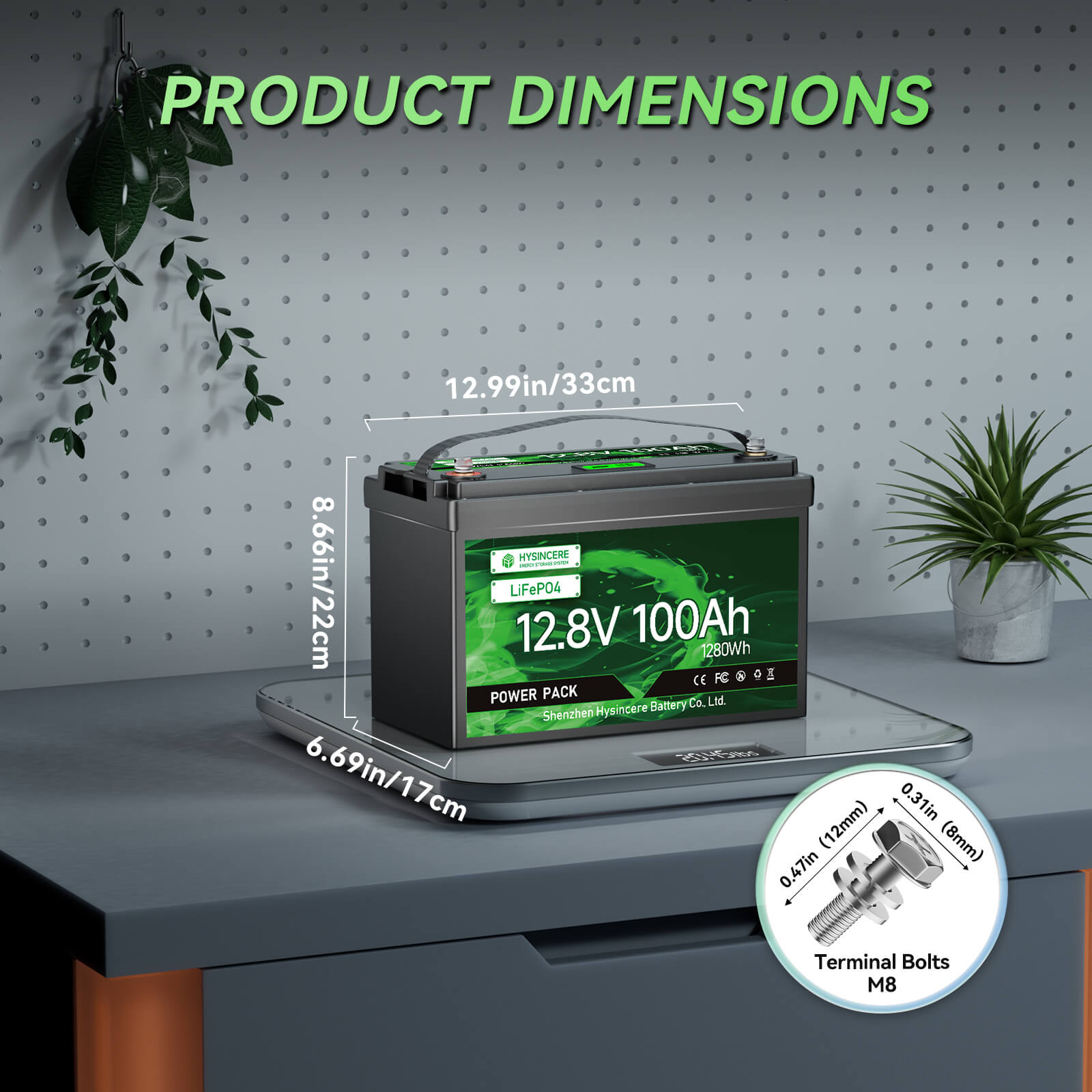 Battery with dimensions labeled on a gray surface with plants