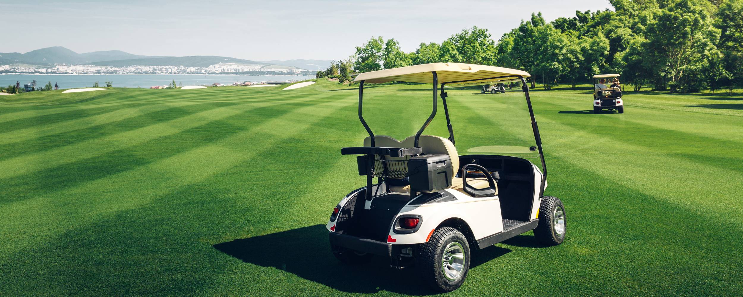 Golf Cart Batteries Application