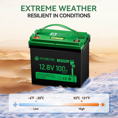 12V 100Ah Mini LiFePO4 Battery Extreme Weather Resilient in Conditions