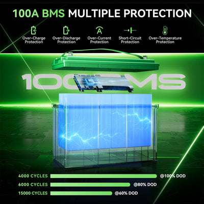 100A BMS Multiple Protection
