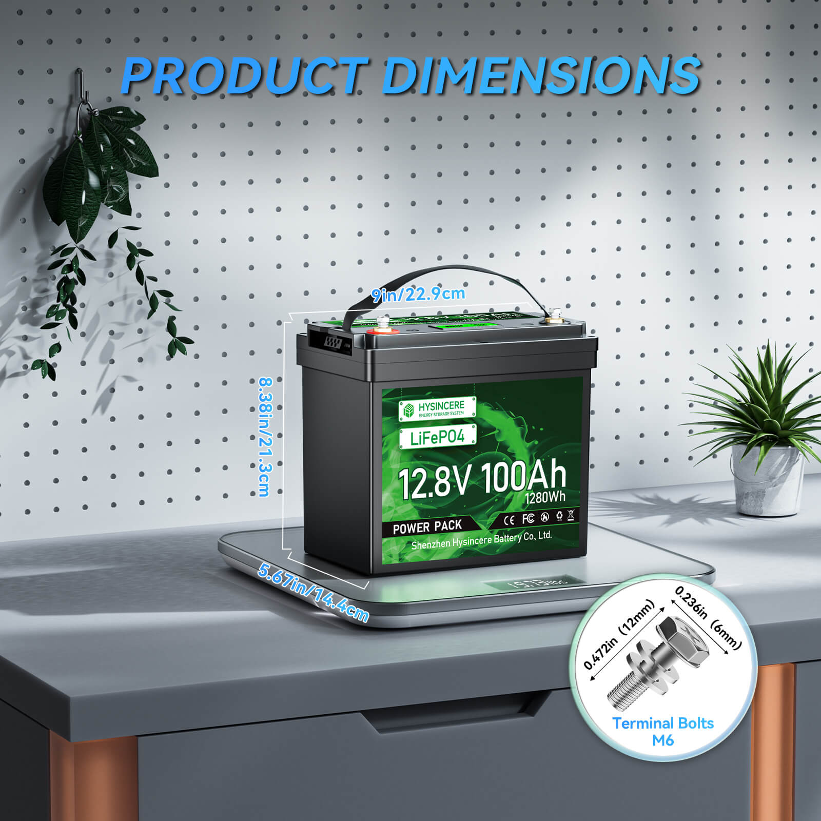 Battery on a desk with dimensions displayed, surrounded by plants and office decor.