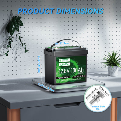 Battery on a desk with dimensions displayed, surrounded by plants and office decor.