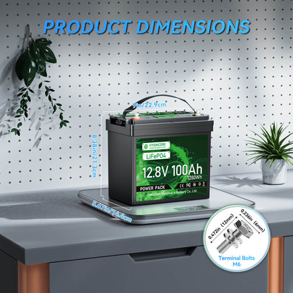 Battery on a desk with dimensions displayed, surrounded by plants and office decor.